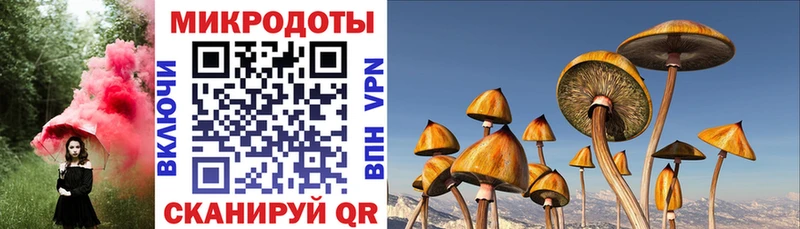что такое   Красавино  ссылка на мегу ONION  Галлюциногенные грибы Magic Shrooms 